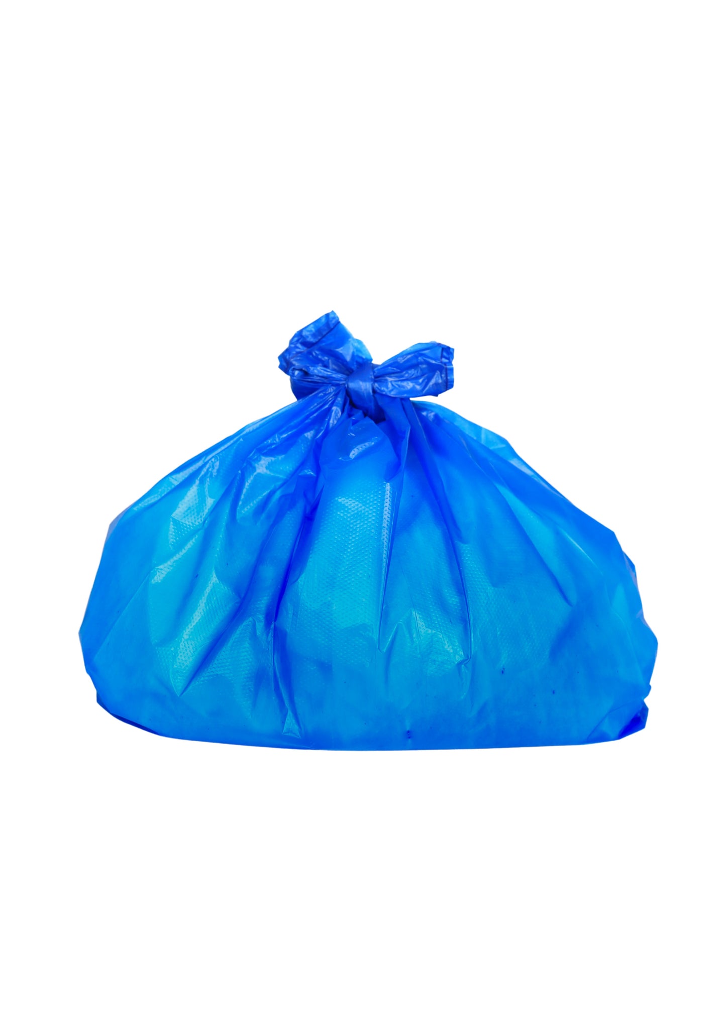 Blue Medium Bags 22L